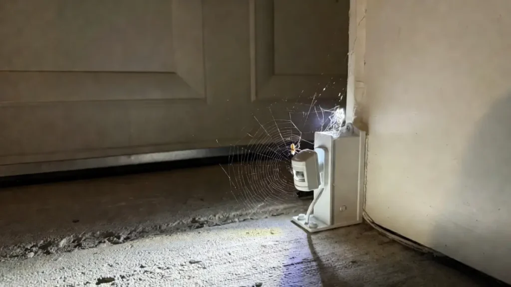 spider webs on garage door sensor causing closing issues
